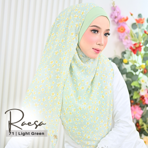 71 Light Green | 2pcs RM90